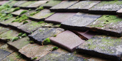 Grosmont roof repair costs